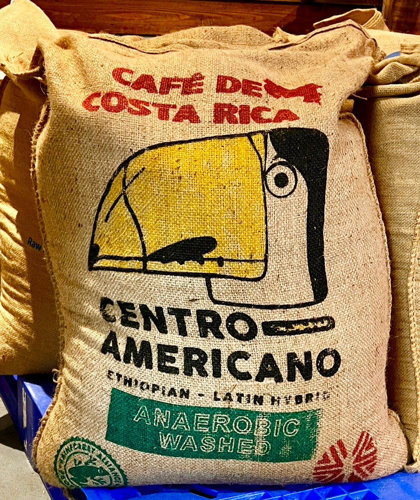 Limited Edition Costa Rica Anaerobic Washed